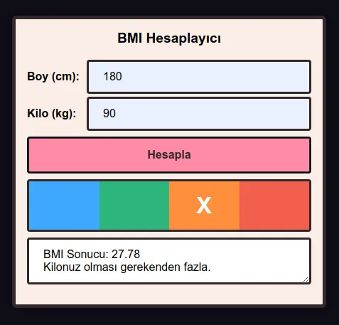 BMI Hesaplayıcı