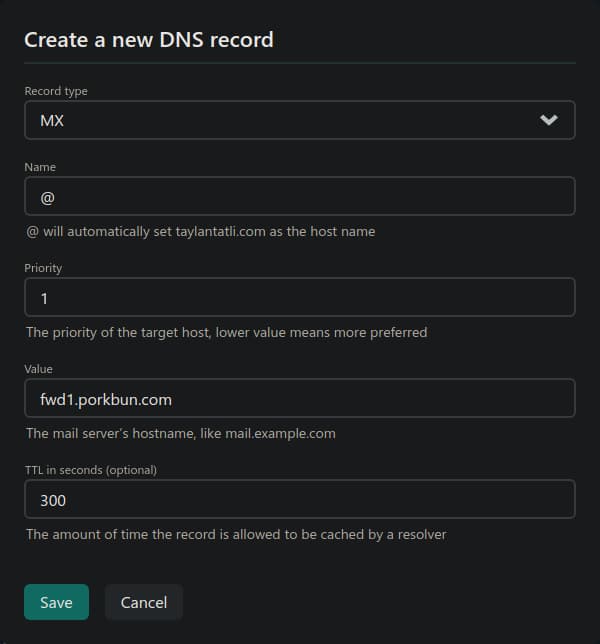 Netlify DNS Records